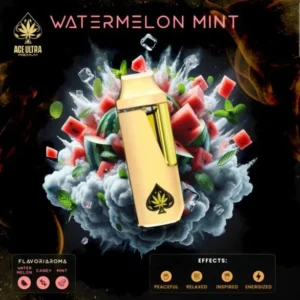 ACE ULTRA WATERMELON MINT DISPOSABLE